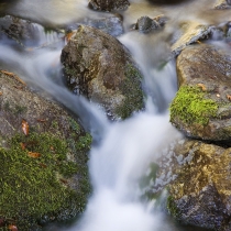 Small Stream in Big Sur
