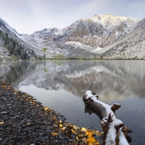 Fallen Log and Convict Lake