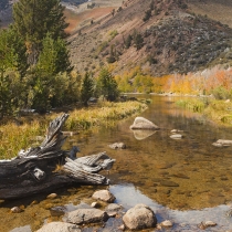 Fall Colors along North Lake
