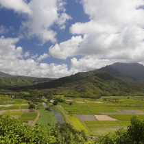 Hanalei Lookout