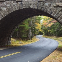 Winding Road in Acadia National Park