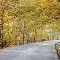 Fall in Acadia National Park