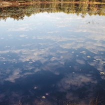 Small Maine Pond