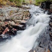 Duck Brook