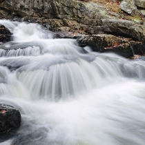 Fall Along Duck Brook