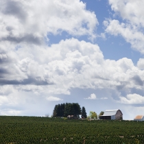Clouds and farm