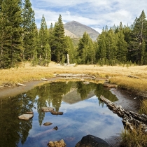 Small Pond in Yosemite