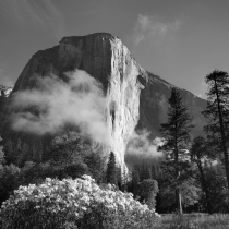 El Capitan with wild flowers