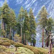 Yosemite