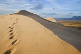 Kelso-Dunes-1