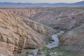 Anza Borrego Evening