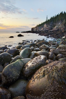 Acadia National Park Enfused