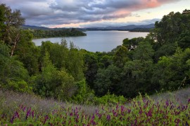 California Lake