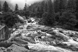 Yosemite Stream (Black and White)