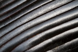 Bug Abstract 2