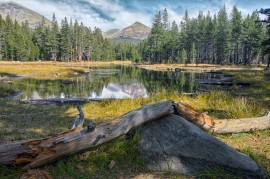 Small pond in northern Yosemite