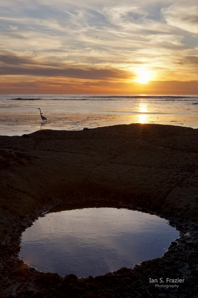 Reflections at Sunset Cliffs