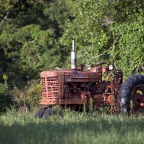 Old Tractor and Weeds